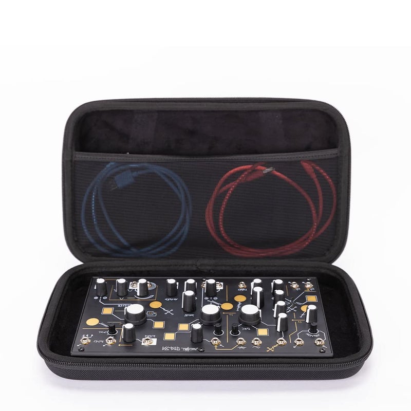 ANALOG CASES Make Noise 0-Coast/Strega/Moog Werkstatt-01 Case - Custom-Fitted Compact PULSE Hard Case for Travel - Image 1